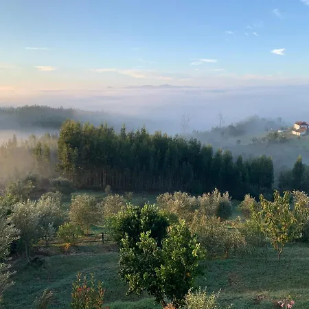 Πανσιόν Quinta Lagares